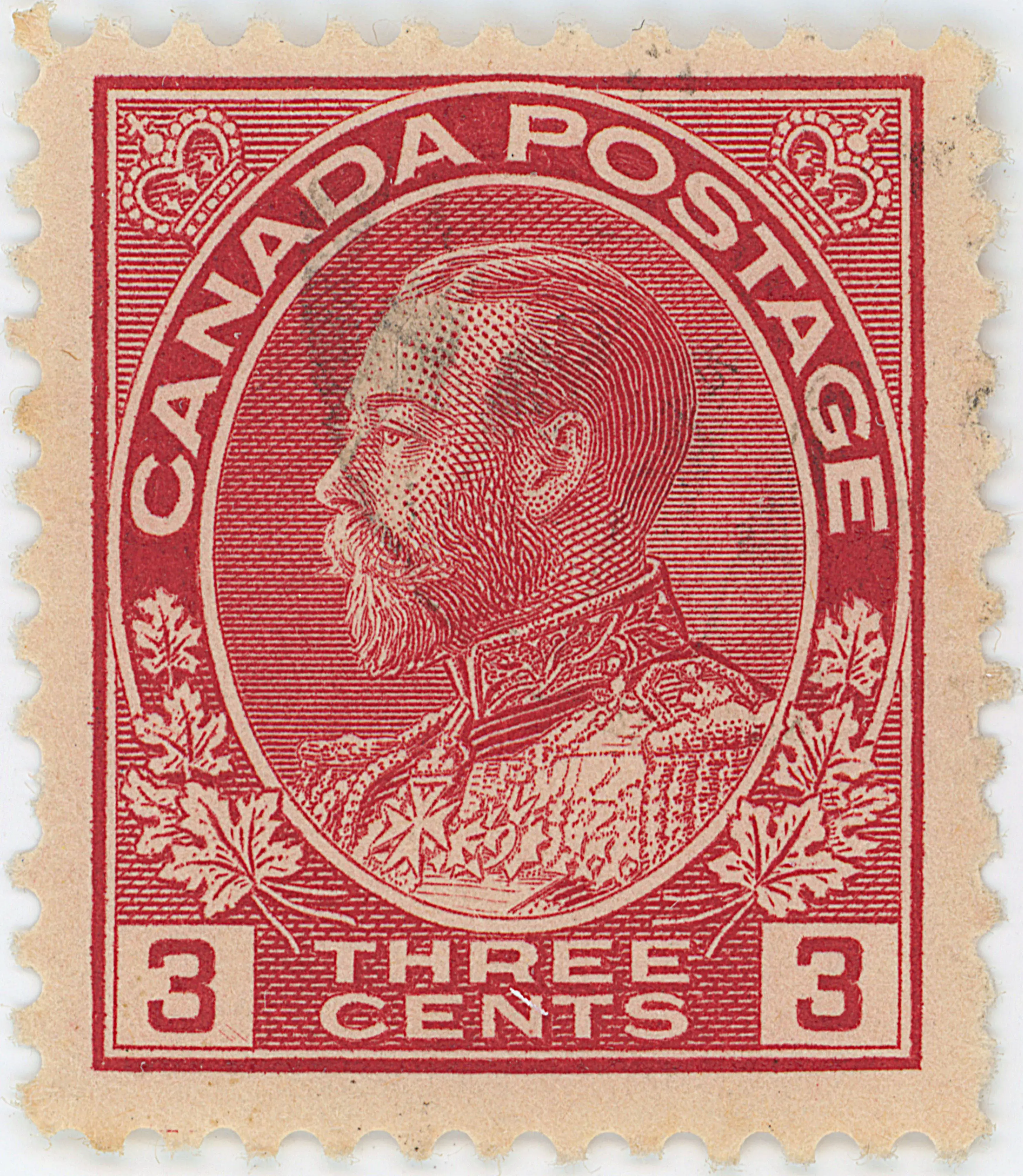 3¢C TLD 45L f.webp